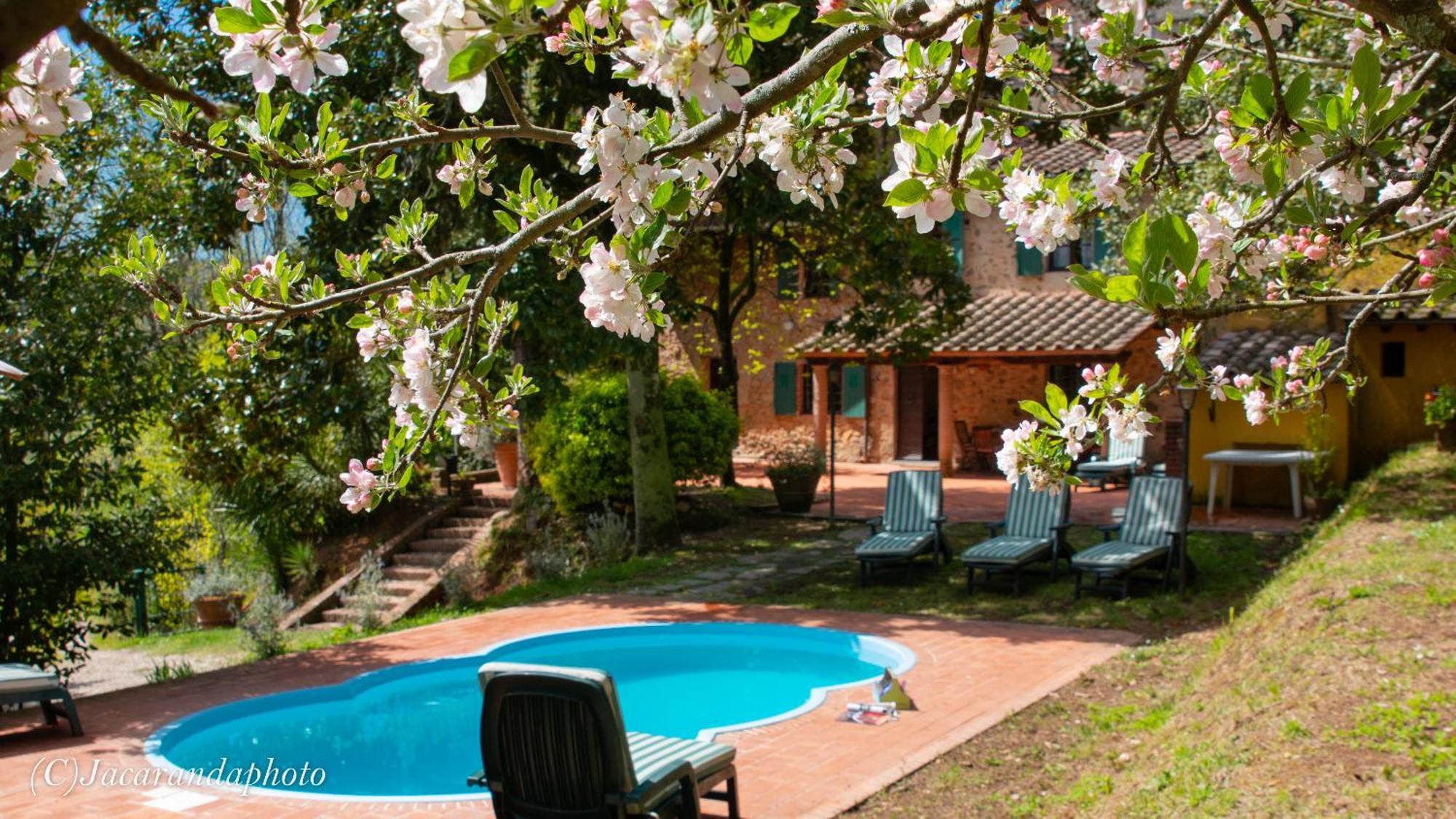 Villa La Pieve Camaiore Exterior photo