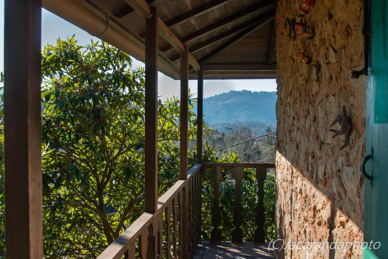 Villa La Pieve Camaiore Exterior photo